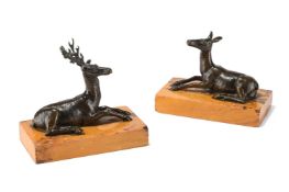 A PAIR OF BRONZE RECUMBENT STAG AND DOE, ITALIAN OR FRENCH, 19TH CENTURY