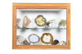 Y AN OAK AND GLAZED CABINET OF SHELL AND MINERAL SPECIMENS, THE CABINET EARLY 20TH CENTURY