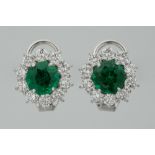 superb pair of earrings in white gold (18 carat) with 3,17 carat of "Vivid green" emeralds from Zamb