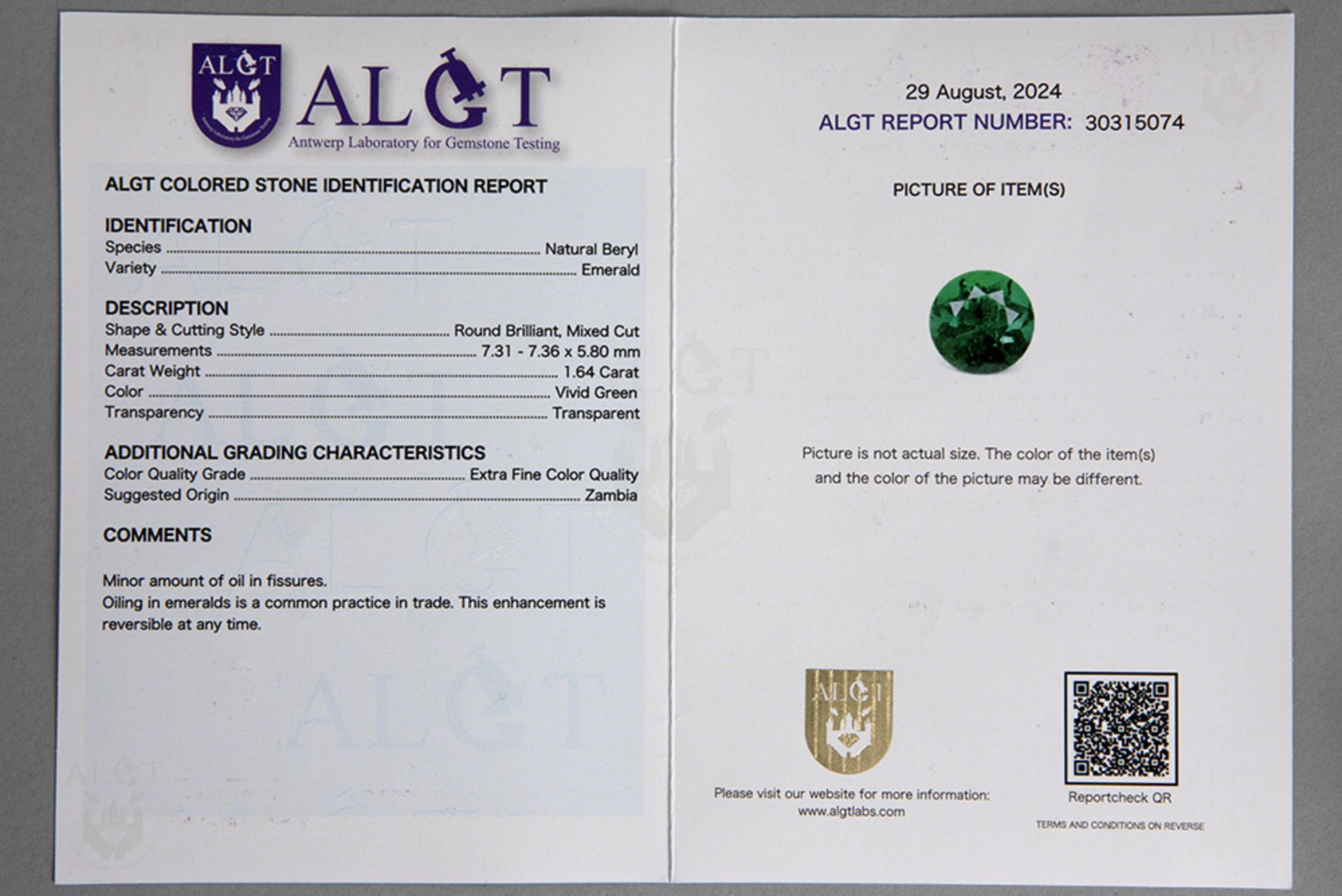 superb pair of earrings in white gold (18 carat) with 3,17 carat of "Vivid green" emeralds from Zamb - Bild 2 aus 3