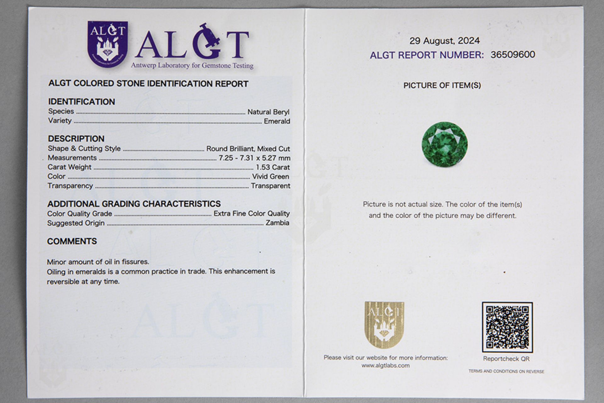 superb pair of earrings in white gold (18 carat) with 3,17 carat of "Vivid green" emeralds from Zamb - Bild 3 aus 3