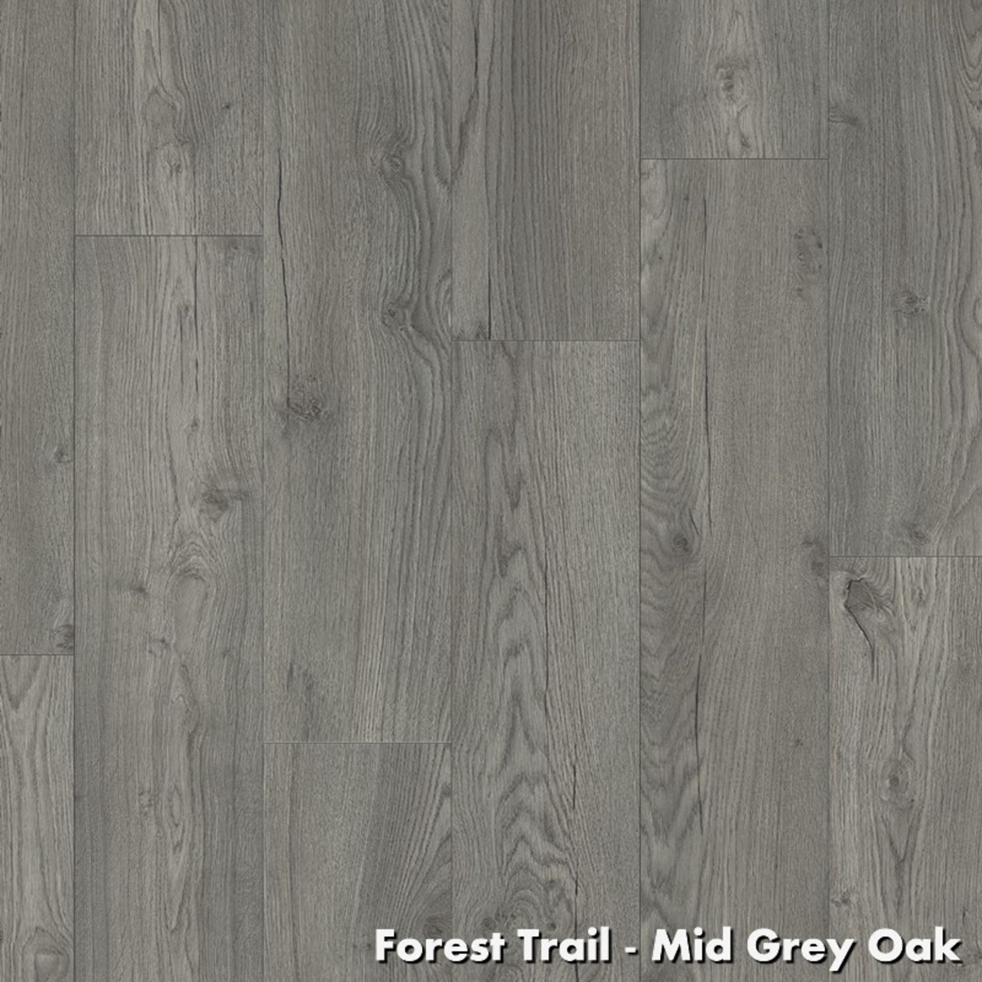 15 X PACKS (37.35M2) EGGER MID GREY OAK LAMINATE FLOORING 2.49M2/PACK RRP £700.00 - Image 2 of 2