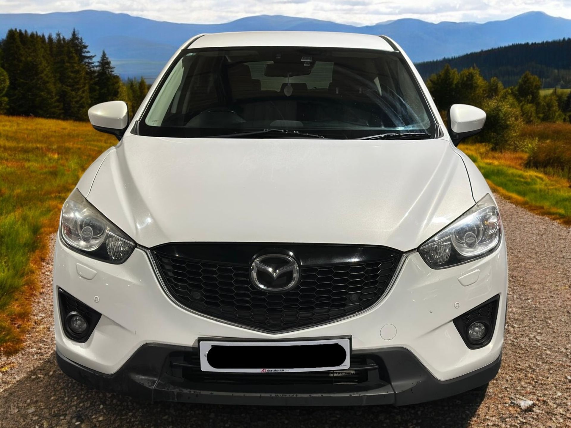 2014 MAZDA CX-5 SPORT NAV D 4X4 >>--NO VAT ON HAMMER--<< - Image 8 of 45