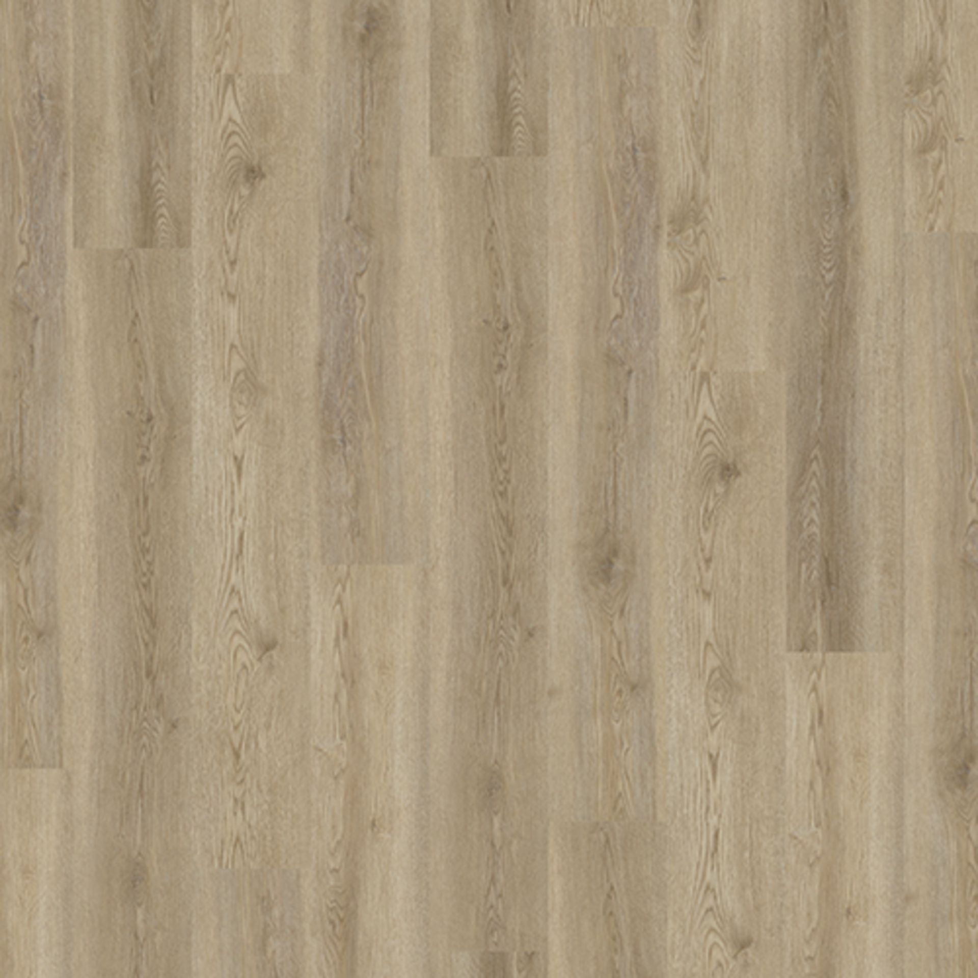80 X BOXES (268M2) PREMIUM GLUEDOWN WOOD-EFFECT VINYL PLANK FLOORING LVT- LIGHT OAK - RRP £6,700