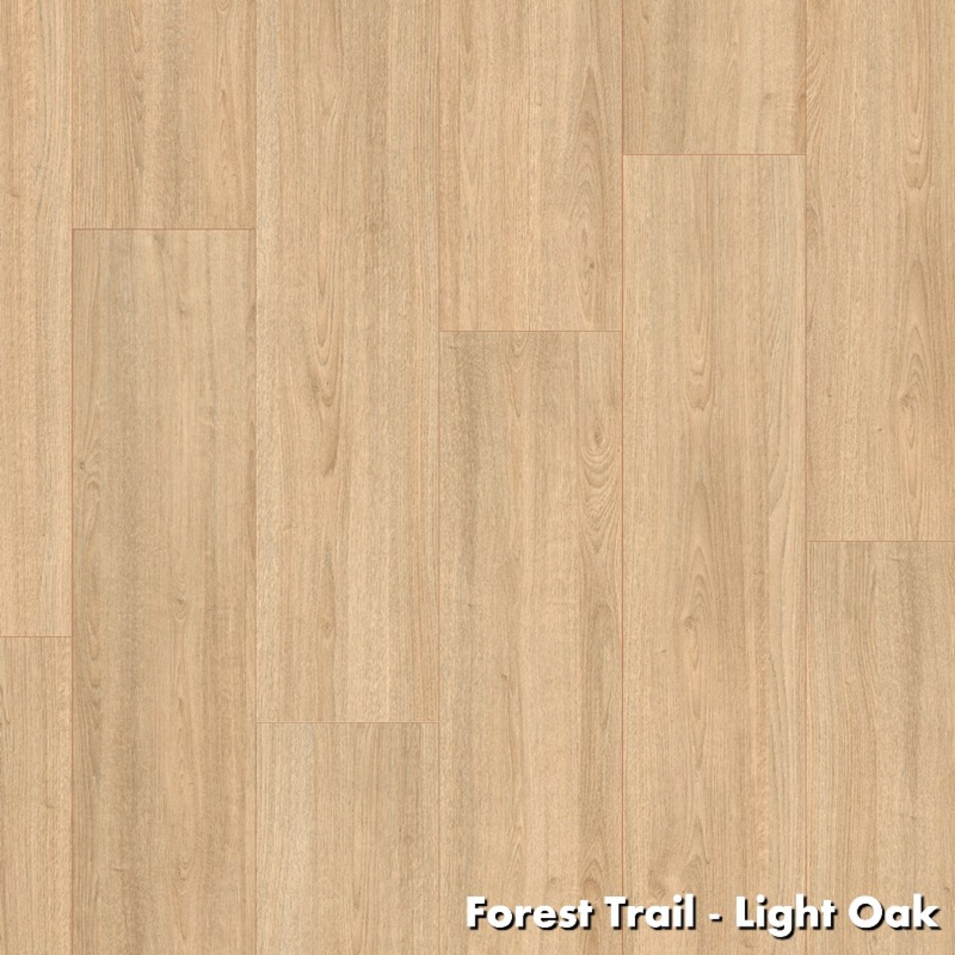 15 X PACKS (37.35M2) EGGER LIGHT OAK LAMINATE FLOORING 2.49M2/PACK RRP £700 - Image 2 of 2