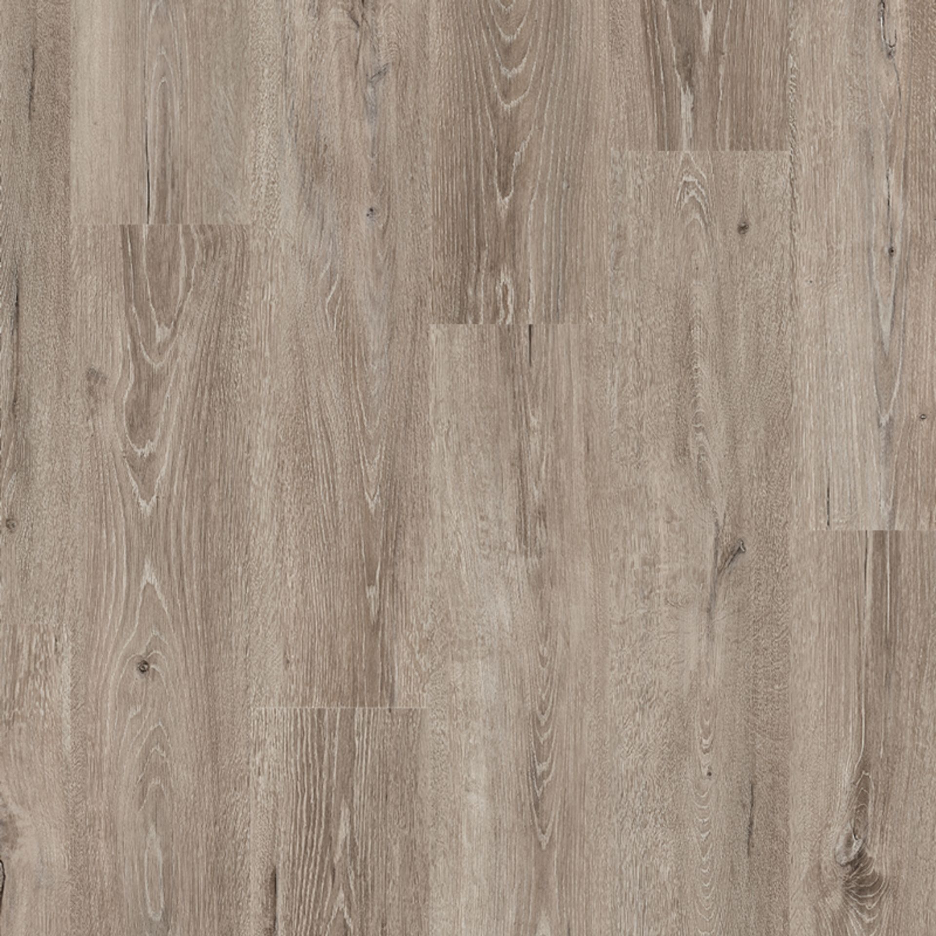 52 X PACKS (129M2) EGGER GREY BEIGE OAK LAMINATE FLOORING 2.49M2/PACK RRP £2,300 - Image 2 of 2