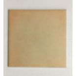 31 BXS CAMILE TERRACOTTA WALL TILES 152 X 152 X 5.5MM (6X6" APPROX)