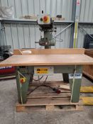 Wadkin Cross cut saw