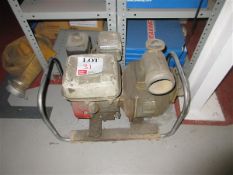 Portable petrol washer pump