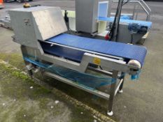 Stainless Steel Conveyor