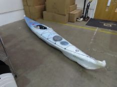 Perception Expression 14 Kayak - unused