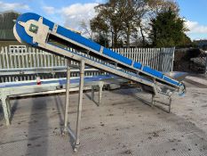 Stainless Steel Framed Plastic Flighted Conveyor