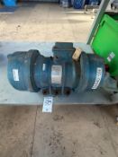 Invicta Vibrator Motor