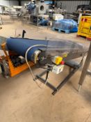 Rypak Rubber Belt Conveyor