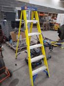 Werner 6 tread fibreglass ladder