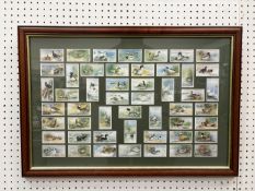 4x Assorted Framed Cigarette Card Sets