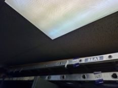 13-tread Lyte roofing ladder