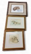 Felicity Johnson, 20th century, Hedgehog, signed with initials, watercolour, 16.5cm x 20cm, framed;