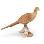 A LARGE SPODE MODEL OF A HEN PHEASANT