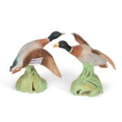 A PAIR OF SPODE MODELS OF MALLARD DUCKS