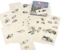 EILEEN ALICE SOPER (1905-1990) FOLIO OF BADGER STUDIES, 15 DRAWINGS