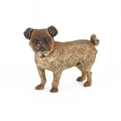 AN AUSTRIAN COLD-PAINTED BRONZE PUG LATE 19TH CENTURY