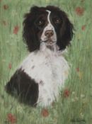 MERLE SOWRAY (MODERN) PORTRAIT OF A SPRINGER SPANIEL