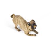 AN AUSTRIAN COLD-PAINTED BRONZE PUG LATE 19TH CENTURY
