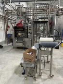 Winpak Twelve Lane Vertical Four Side Seal Sachet Filler for Condiments - Ketchup - Machine 4