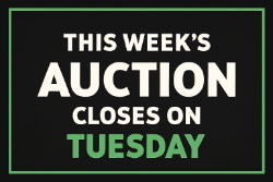 TUESDAY Pallet Auction | 12-23-2025