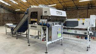 Complete Line: Sorma W12-126 Linear 12 Lane Multihead Weigher