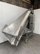 2005 Tong Engineering Incline Conveyor