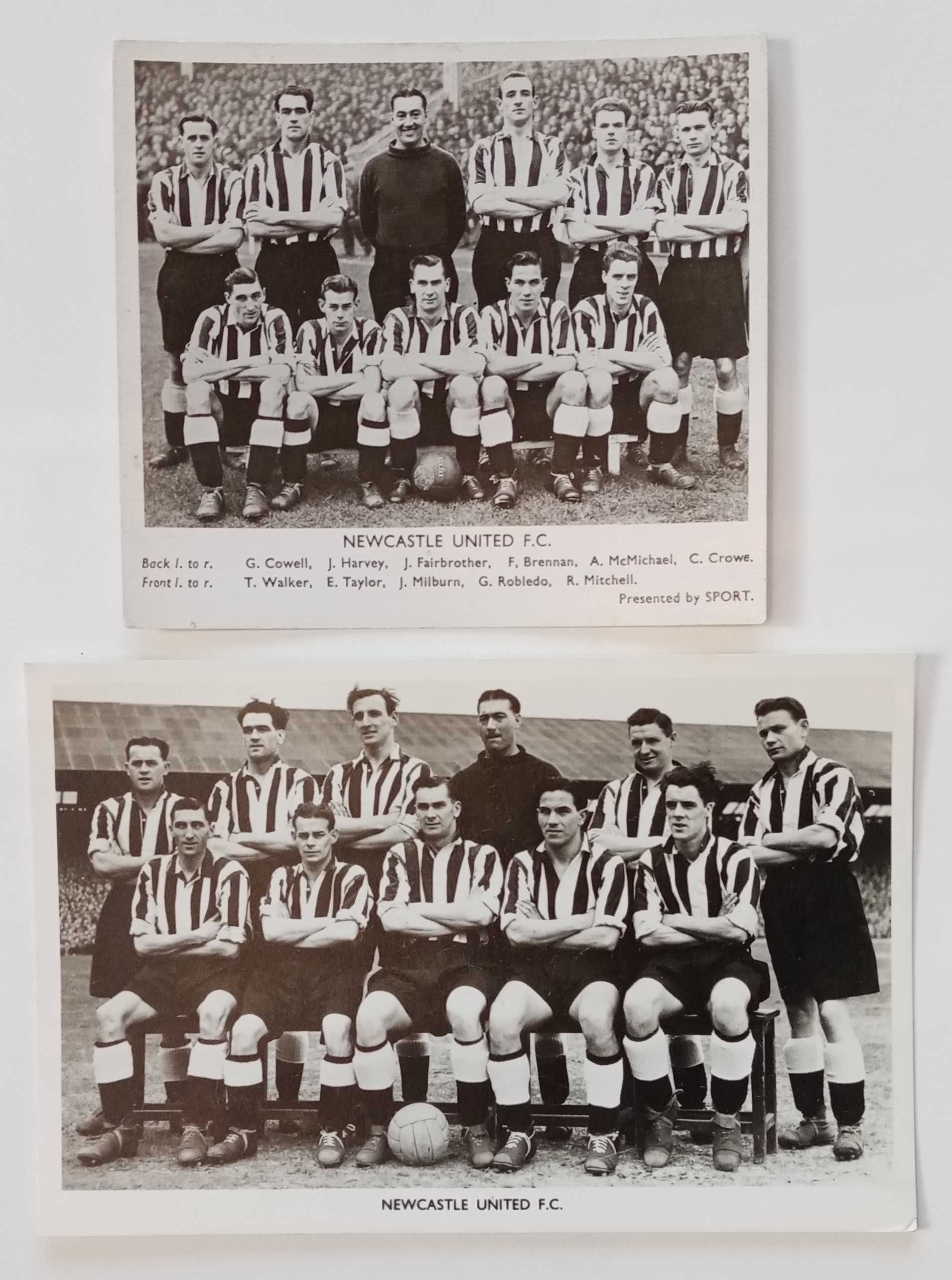 Ancienne Photo Équipe Newcastle United 1949-1950 - Tirage Original