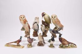A group of Beswick and Royal Doulton birds