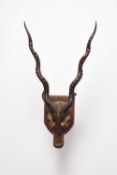 Taxidermy: Rajputan Blackbuck (Antilope cervicapra rajputanae) head mount