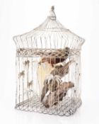 Taxidermy: A Lesser Bird-of-Paradise (Paradisaea minor) to an early 20th century bird cage
