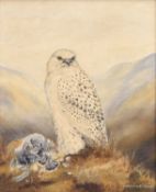 Marion Minton (British Contemporary) Greenland Falcon and Peregrine Falcon (2)