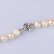 Perlenkette, 112 Akoyaperlen 6,0-6,5 mm, durchgeknotet, Schließe 585er Weißgold, Gesamtgewicht ca.