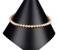 Perlenkette, 55 Akoyaperlen 7,5-7,8 mm, Schließe 585er Gold mit Saphir, Gesamtgewicht ca. 38,9 g,