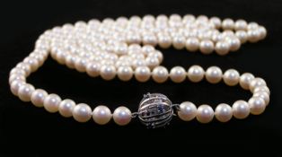 Perlenkette, 141 Akoya-Perlen 7,0-7,5 mm, Schließe 585er Weißgold mit Saphirbesatz, durchgeknotet,