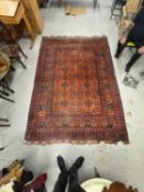 Carpets & Rugs:
