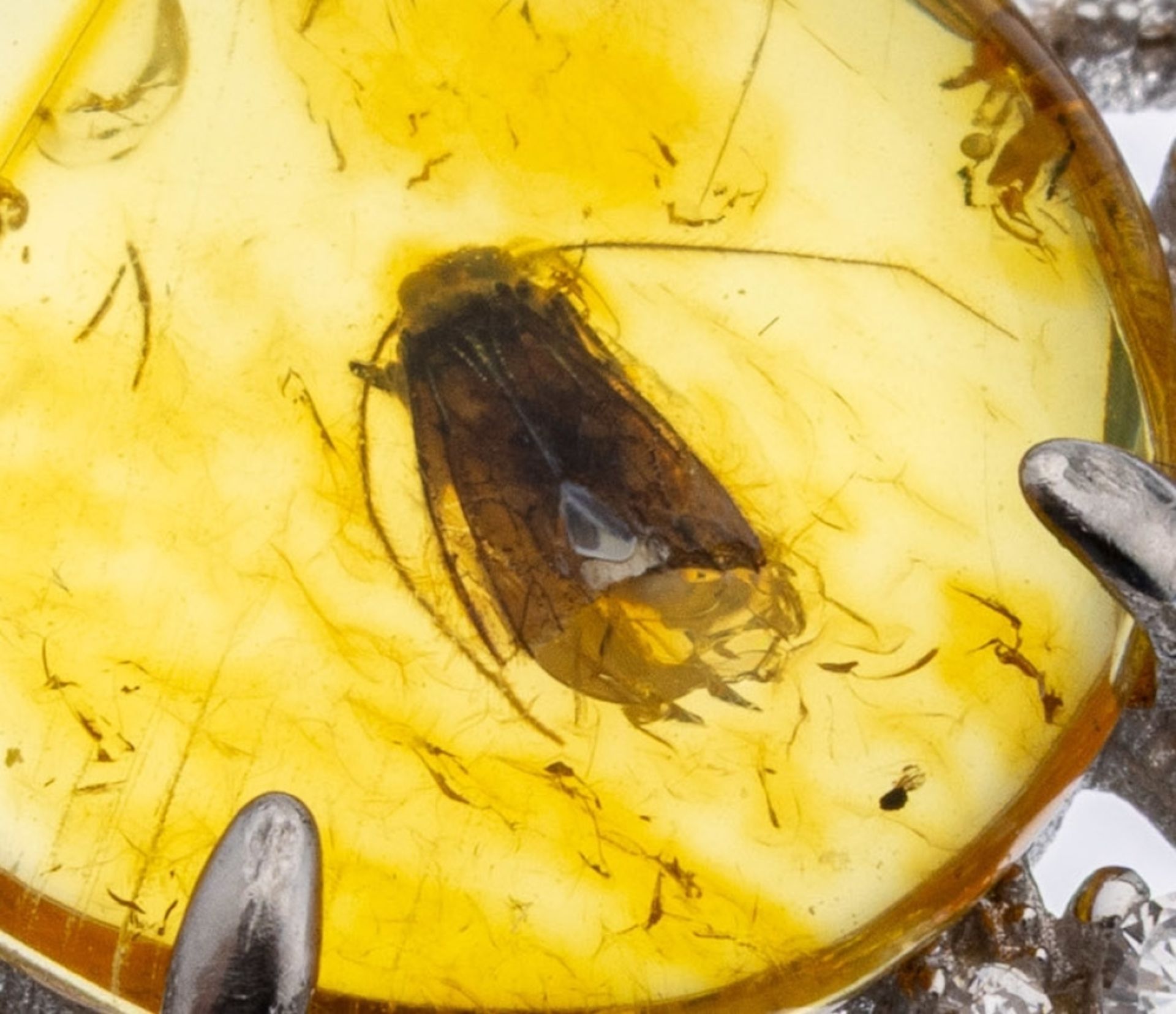 Bernstein-Anhänger, 925er Silber, mittig runder - Bild 2 aus 2