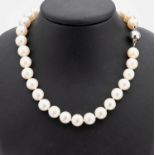 Zuchtperl-Collier, Kugelschließe 925er Silber,