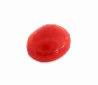 Loser roter Opal, 22.74 ct, Red Multi Fire, ovaler