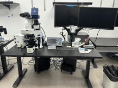 Olympus BX51 Fluorescence Microscope System