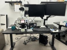 Olympus BX51 Fluorescence Microscope System