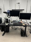 Olympus BX51 Fluorescence Microscope System