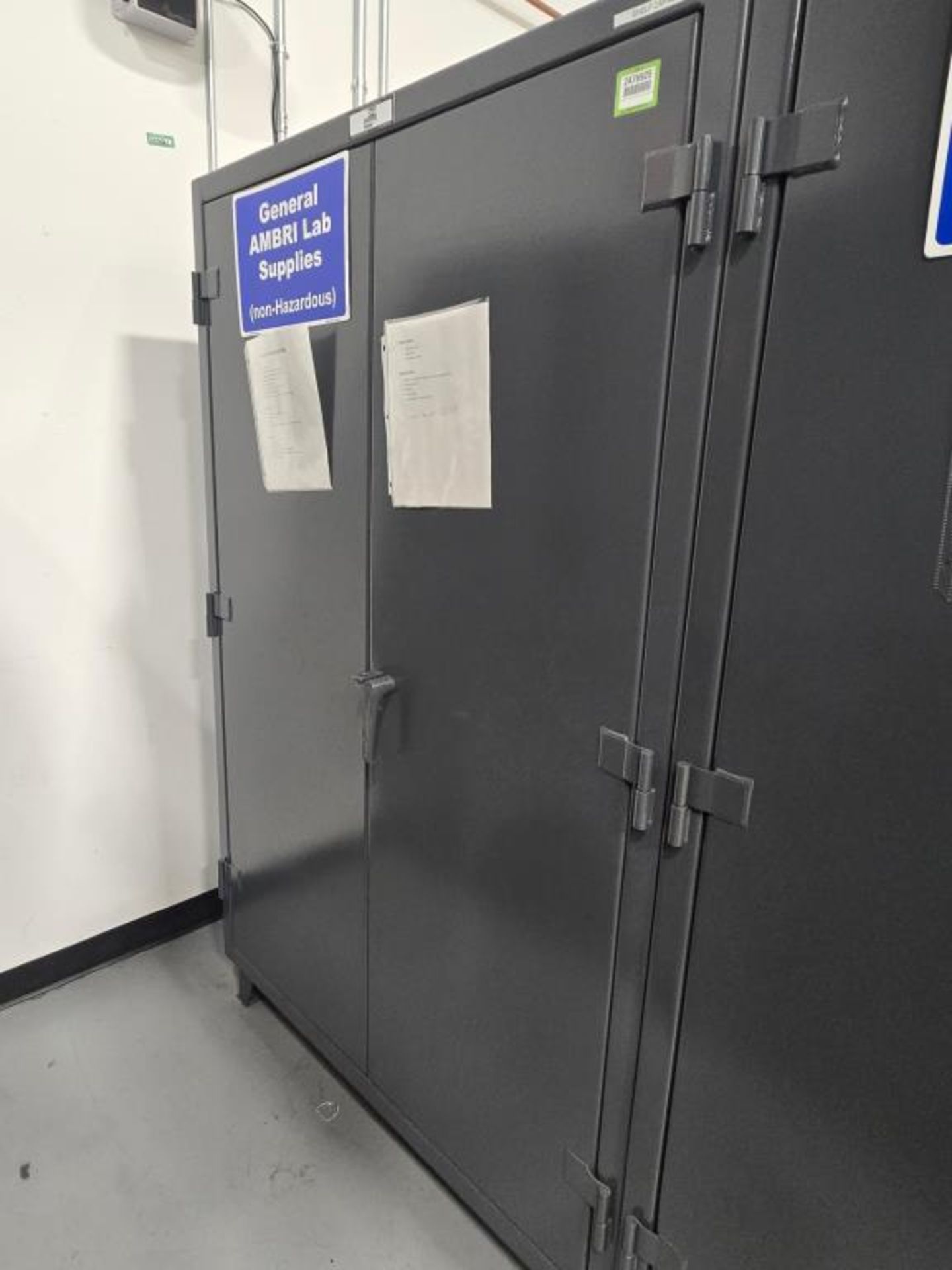 Strong Hold Cabinet w/ Contents