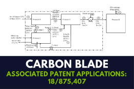 U.S. Patent Application 18/875,407