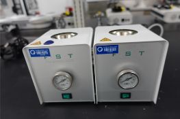 FST Hot Bead Sterilizers
